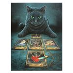 Cat Fortune Teller Canvas Picture by Lisa Parker